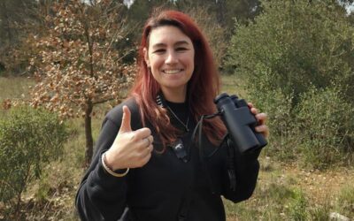 Fabriquer des cartes pour protéger nature et animaux
